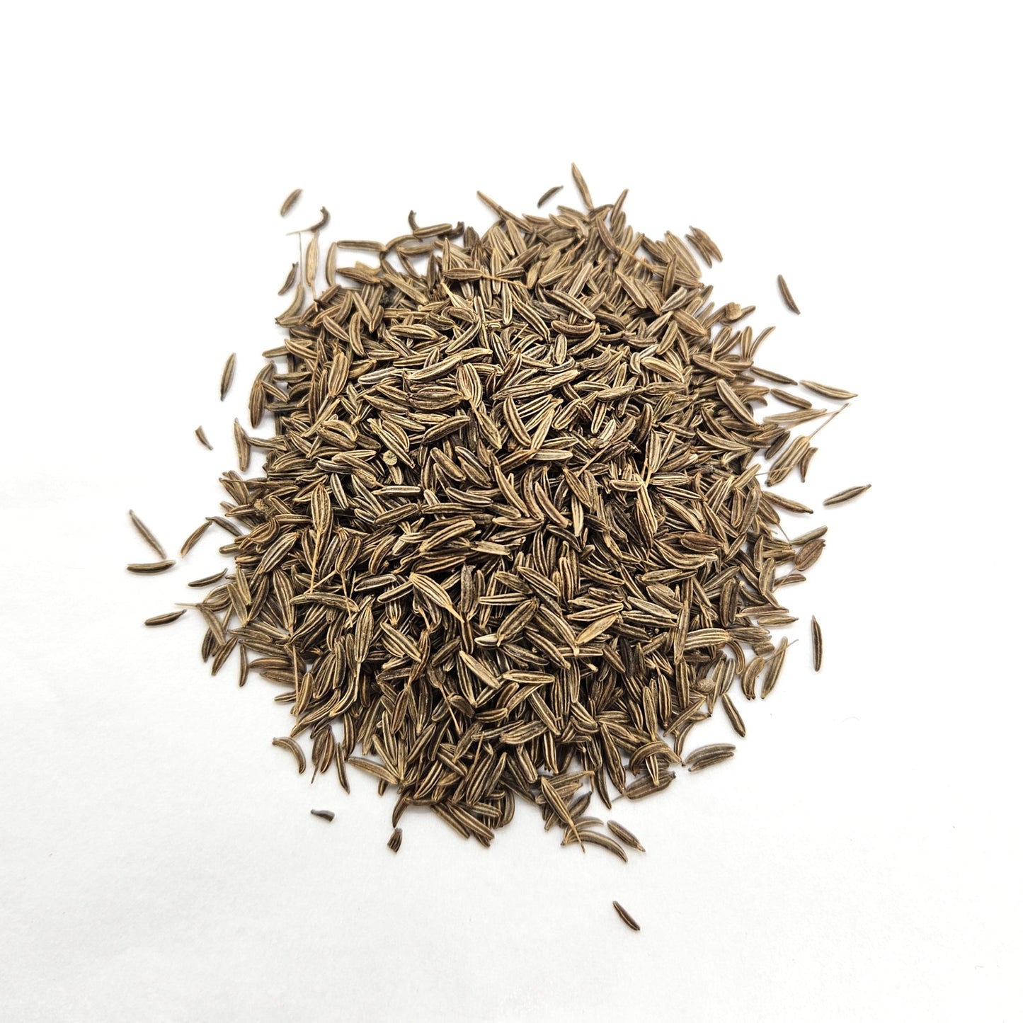 Caraway Seeds - Whole - Organic