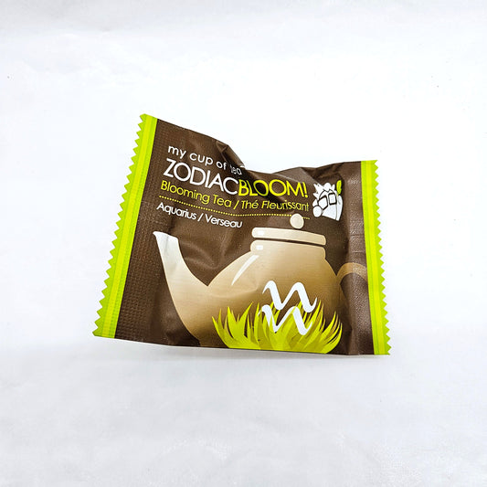 Verseau (20 janvier – 18 février)