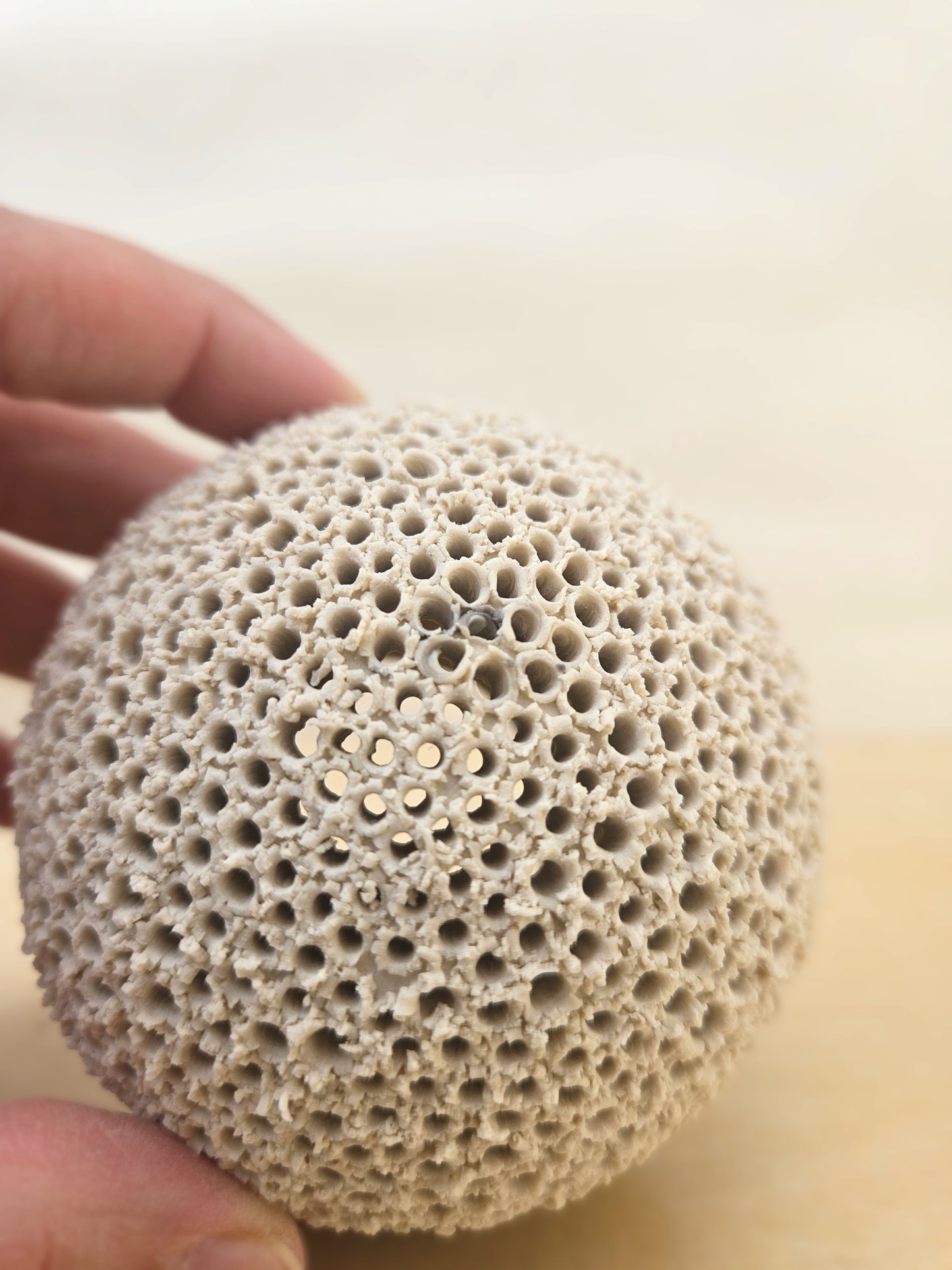 Small Cream White Sphere Lantern 8 (with tiny grey swirl on top)