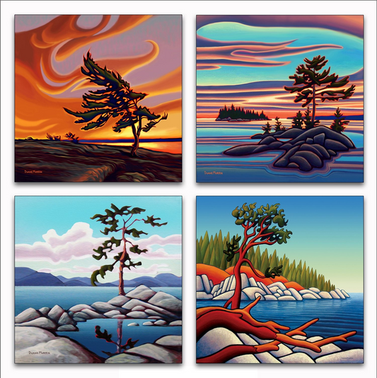 Arbousier au crépuscule