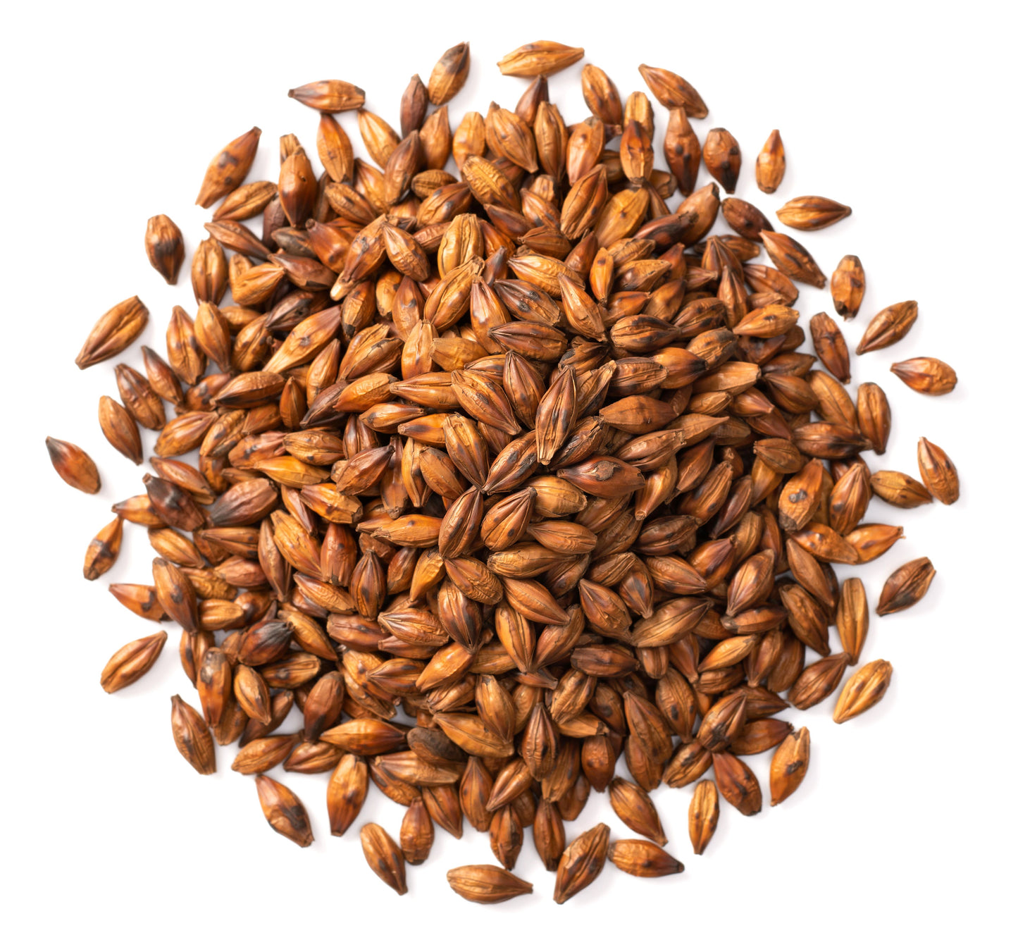 Barley (Roasted) Tea