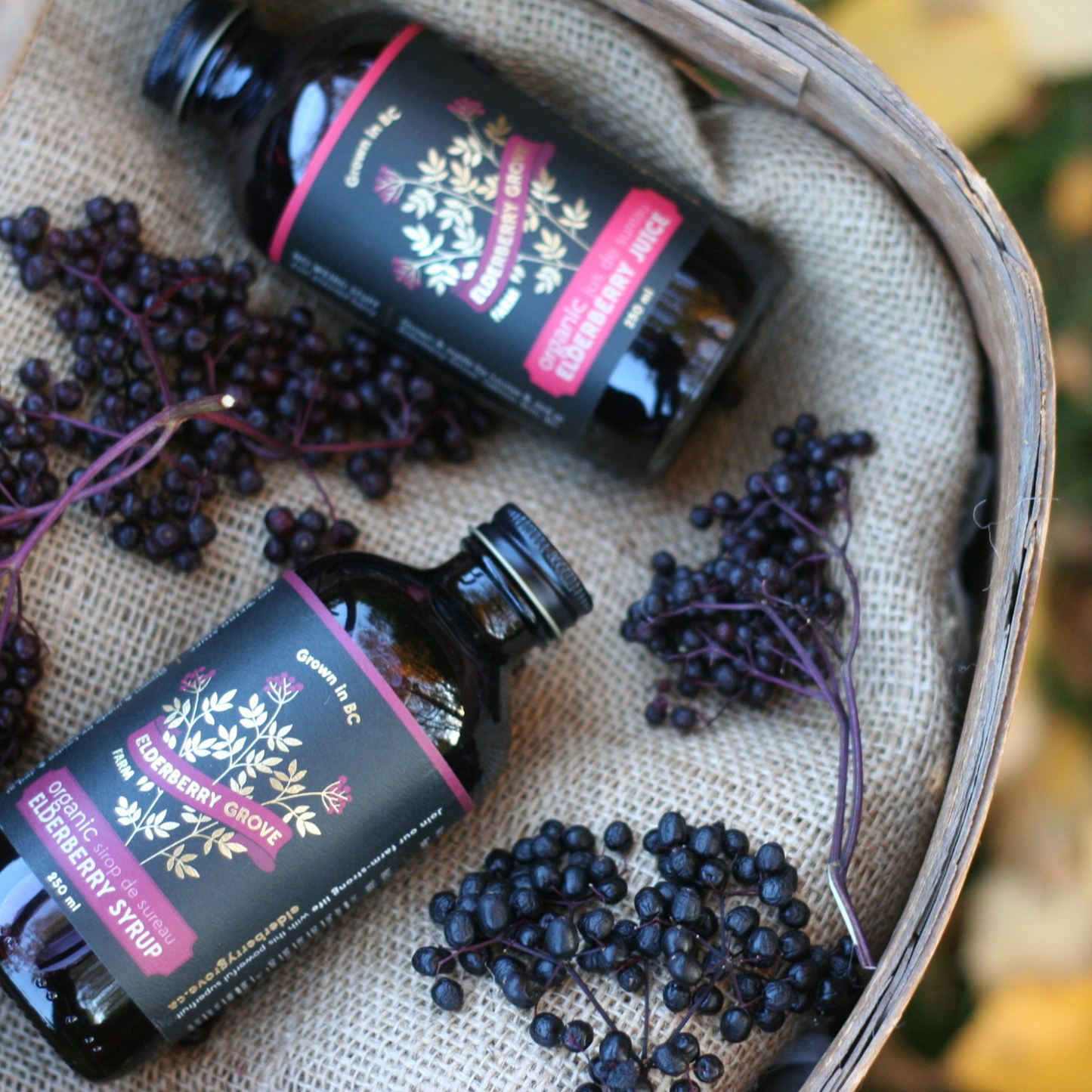 Elderberry Juice (250ml)