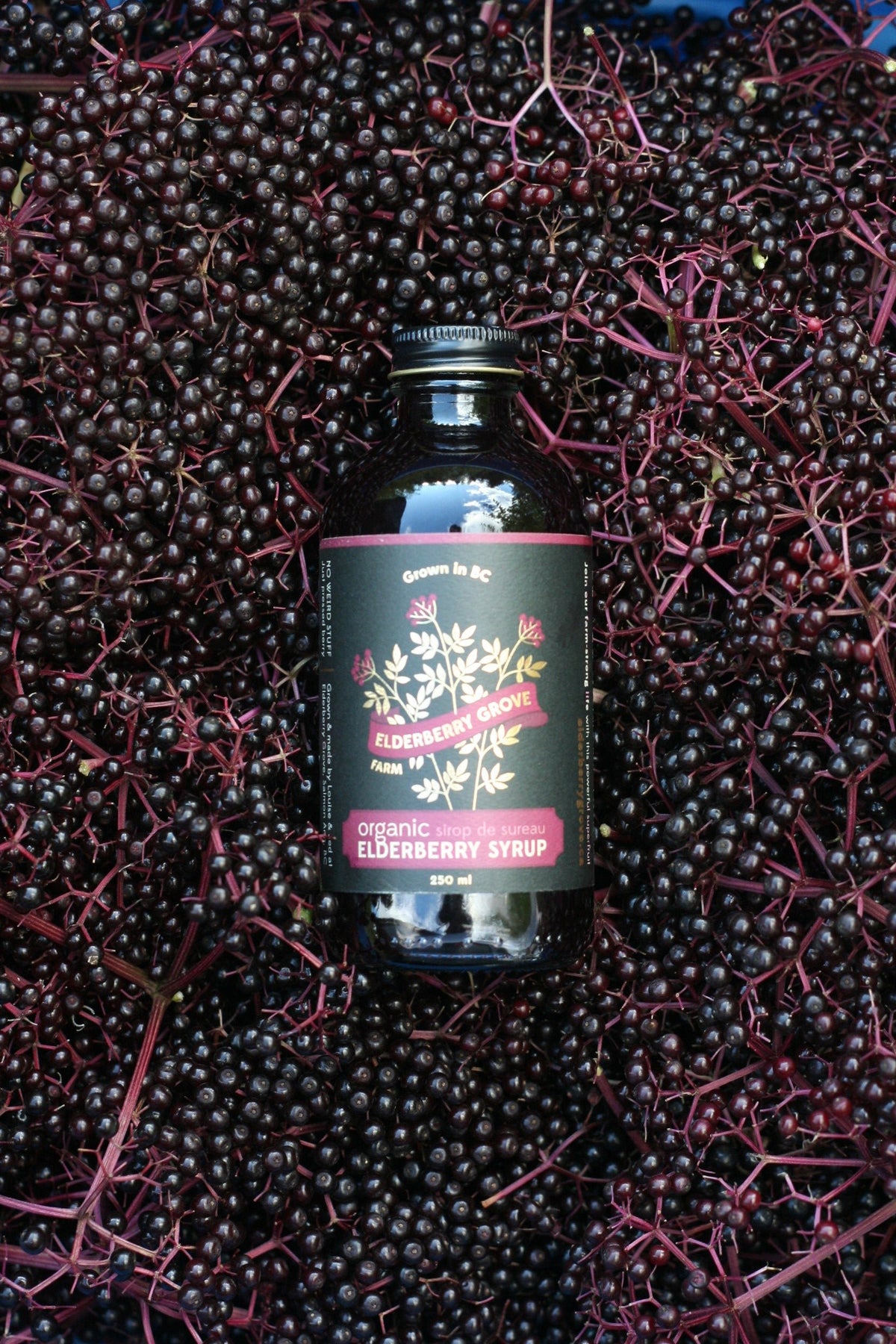 Elderberry Syrup (250ml)