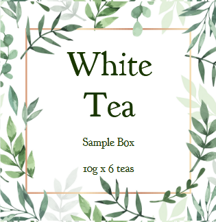 White Tea Sample Box (6 teas)