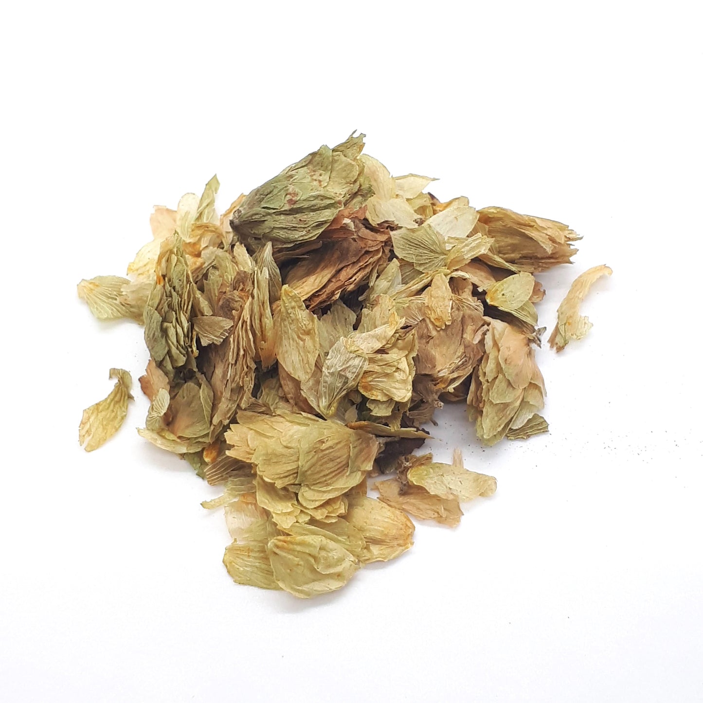 Hops flowers - Organic