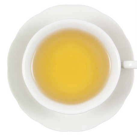 Échinacée Purpurea - Biologique