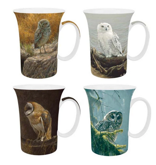 McIntosh - Robert Bateman, Búhos (juego de 4)