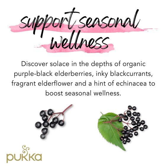 Pukka - Black Currant Beauty - Organic