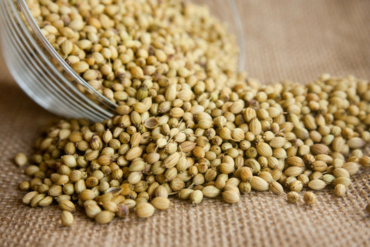 Coriander Seeds - Organic