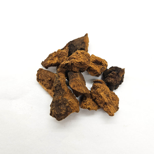 Chaga - Wild Harvested