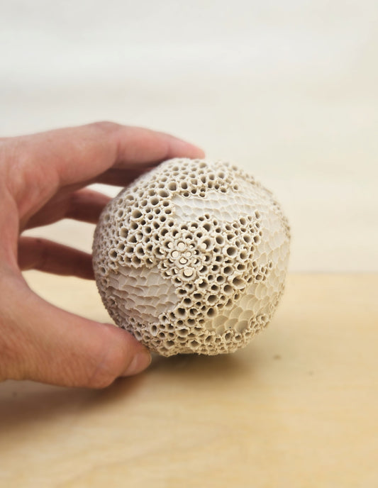 Small Cream White Sphere Lantern 11