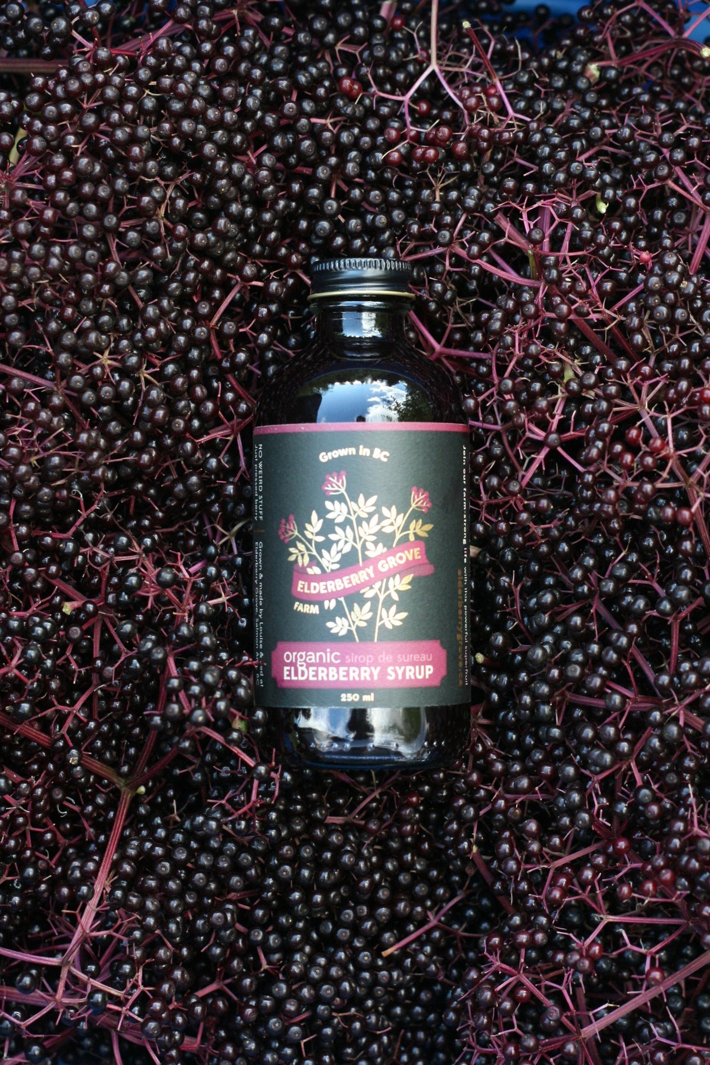 Elderberry Syrup (250ml)  ***NEW*** (Nov 1-29 Promo $5off)