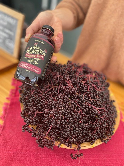 Elderberry Syrup (250ml)  ***NEW*** (Nov 1-29 Promo $5off)