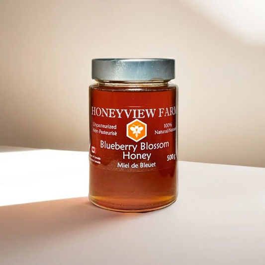 Miel de Flor de Arándano 500g