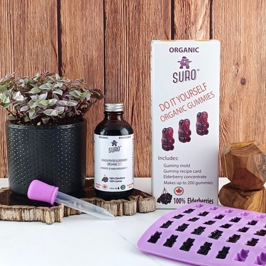 Organic Elderberry Gummies DIY Kit