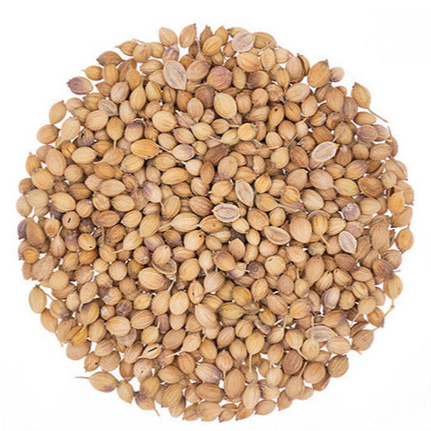 Coriander Seeds - Organic
